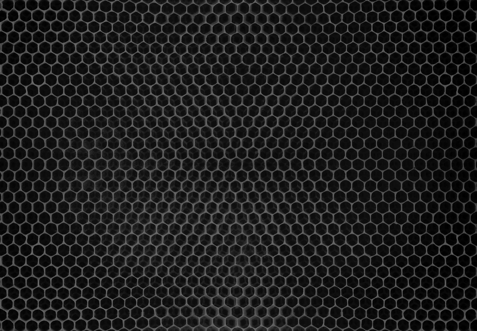 natural honey comb background or texture